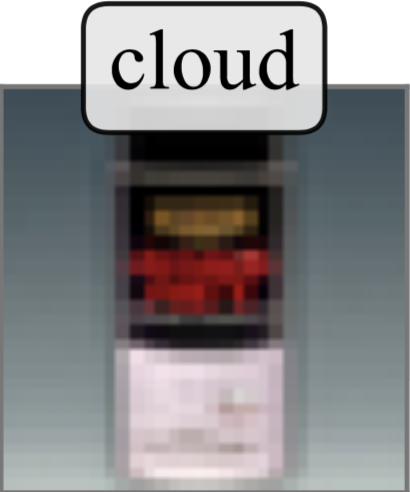 Mislabeled CIFAR100 Sample: Cloud