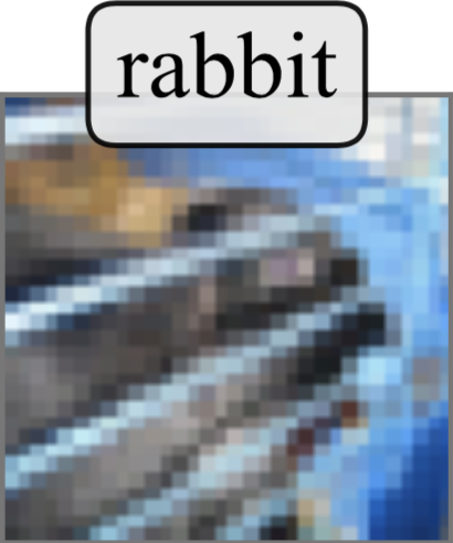 Mislabeled CIFAR100 Sample: Rabbit