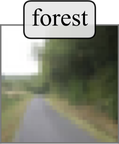 Mislabeled CIFAR100 Sample: Forest